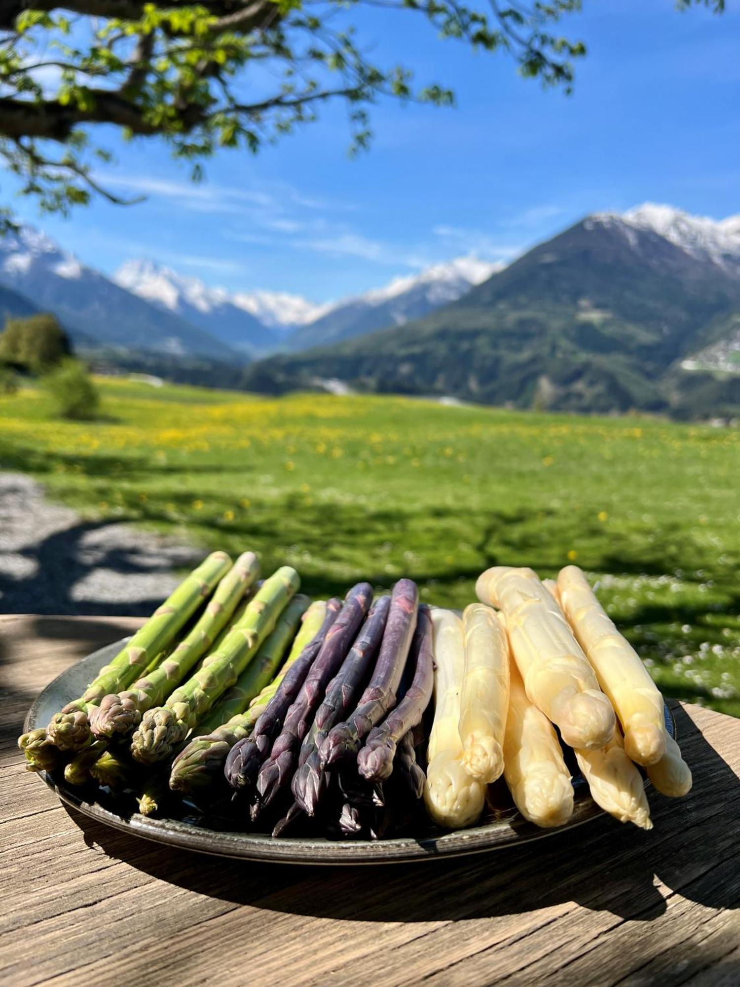 Hotel Restaurant Gruenwalderhof パチ エクステリア 写真